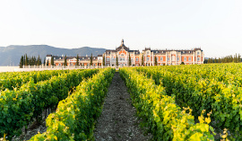 chateau-de-talu-7s.jpg
