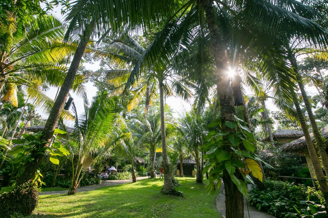 Centara koh chang tropicana resort. Ко Чанг пальмовая аллея. Тропикана. Тропикана обои 4к.