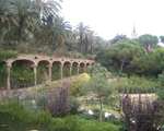 barcelona6_s.jpg