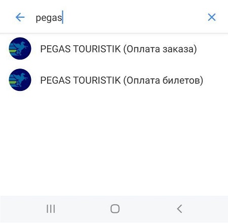 Пегас Условия Оплаты Новогодних Туров Пегас Условия Оплаты Новогодних Туров
