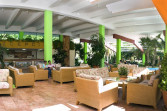 Gran Caribe Tortuga