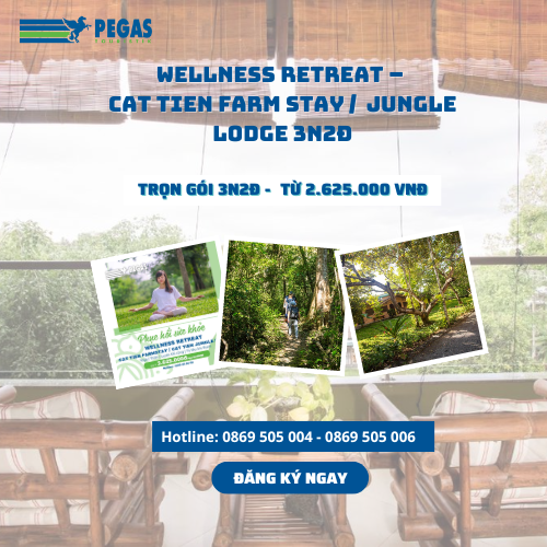 WELLNESS RETREAT – CAT TIEN FARM STAY / CAT TIEN JUNGLE LODGE 3N2Đ