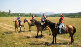 horse-riding-to-bashkirian-reserve-1s.jpg