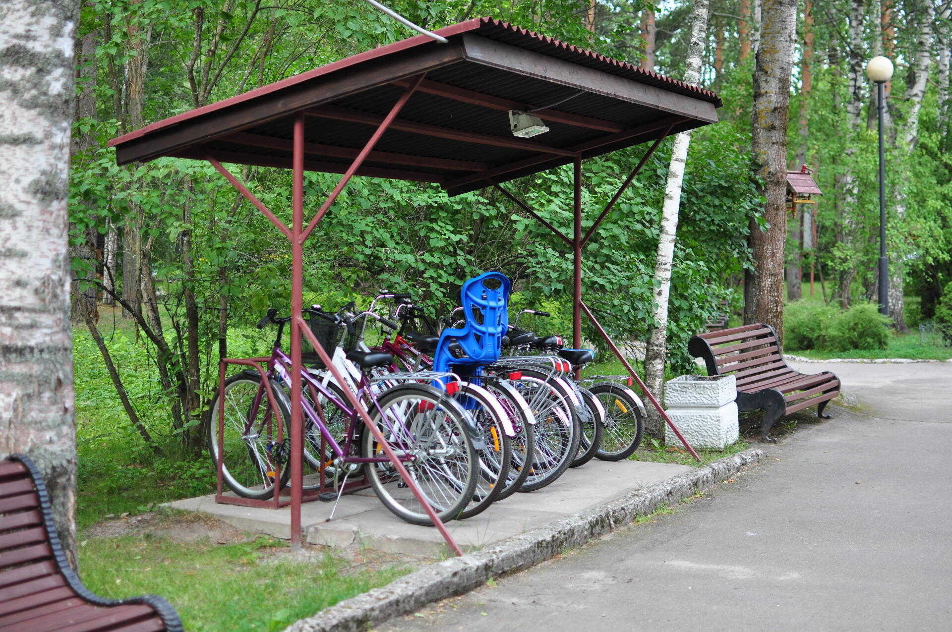 лосево парк