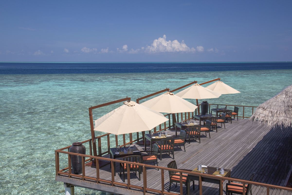 Coco bodu hithi 5. Coco Palm bodu Hithi 5. Coco bodu Hithi Maldives. Ресторан Terra Мальдивы. Zero ресторан Мальдивы.