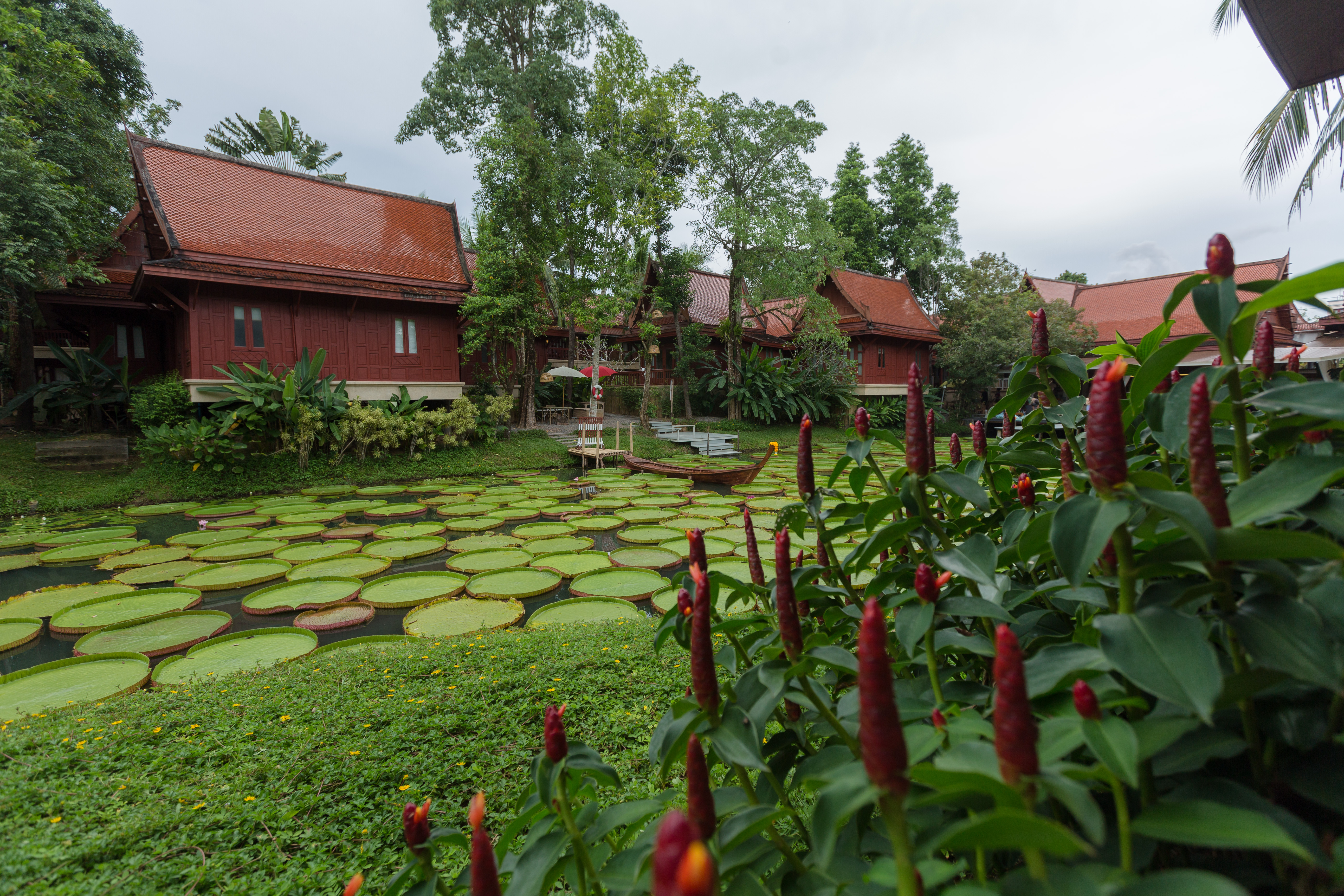 At Panta Phuket 4. Кафе Таиланд Madoo bua. Ma Doo bua Hotel 4*. Ma Doo bua Cafe фото.