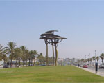 lapineda1_s.jpg