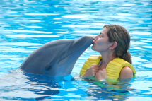 dolphinarium-3s.jpg