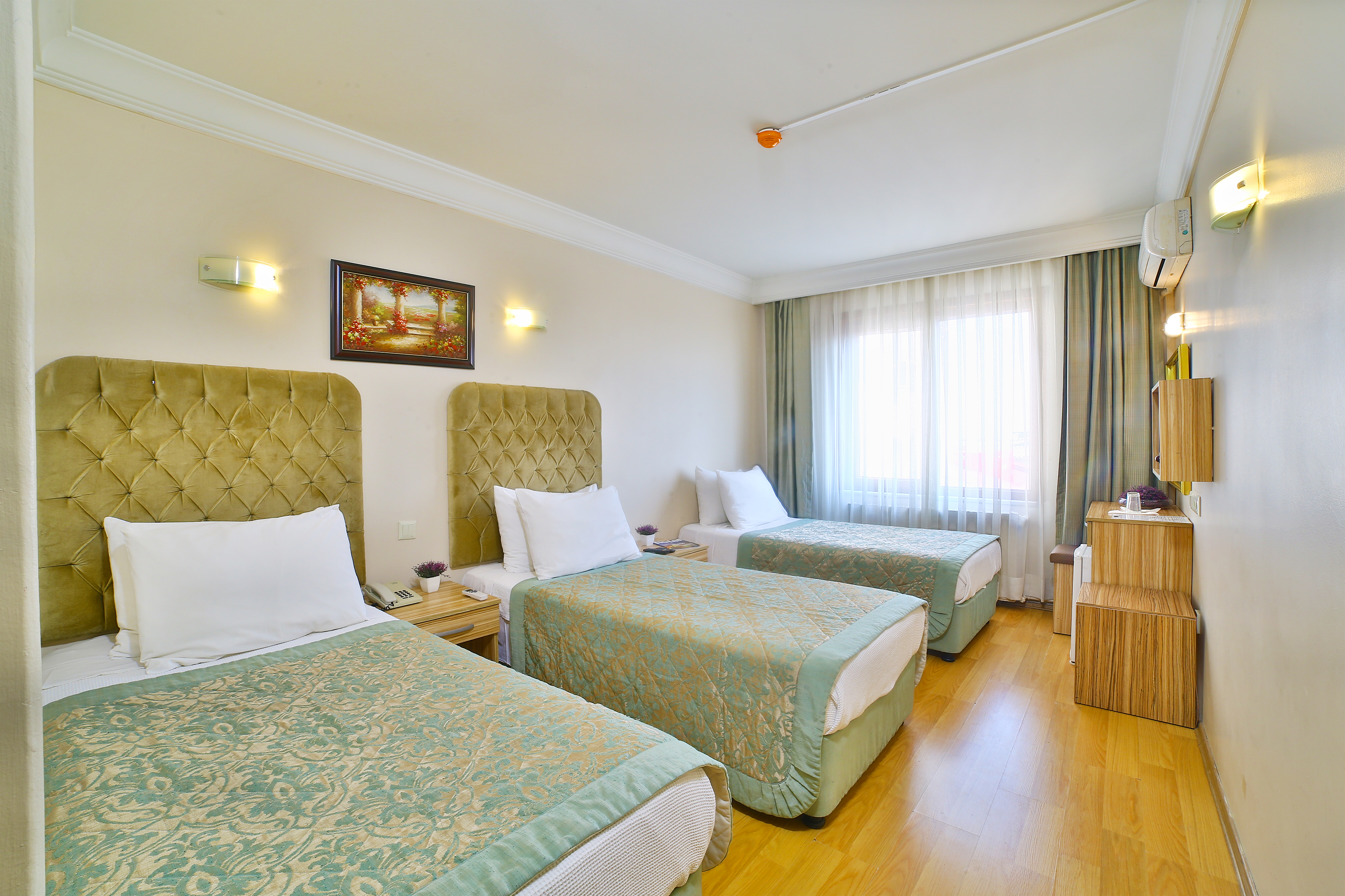 Отель 3 12. Grand Liza Hotel 3 Стамбул. Отель Лалахан Стамбул. Lady Diana Hotel Istanbul. Phoenix Grand Hotel 3*.