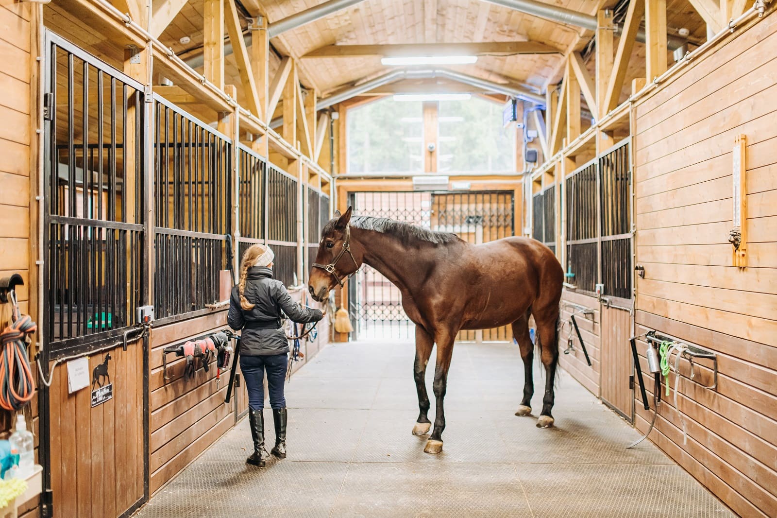 Lafleur stables