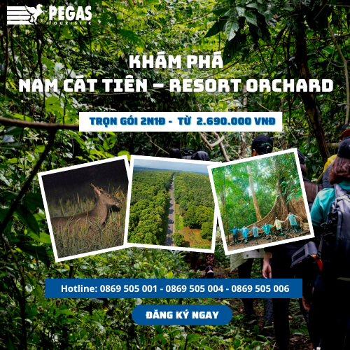 Tour-Pegas-NAM-CAT-TIEN-RESORT-ORCHARD-2-Ngay-1-Dem