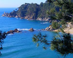 lloret2.jpg