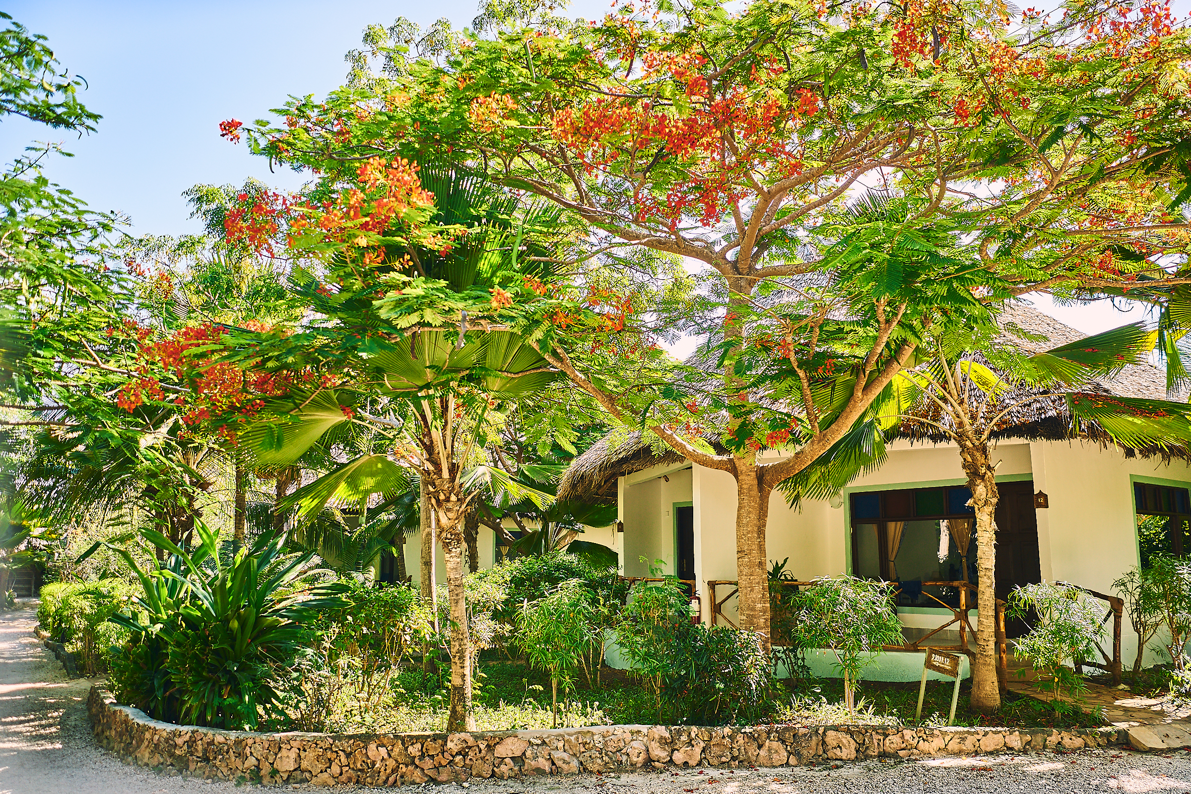 Spice island. Spice Island Zanzibar. Spice Island Hotel Resort 4. Танзания специи. Spice Island photo.