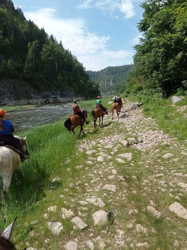 Конный центр пегас челябинск фото