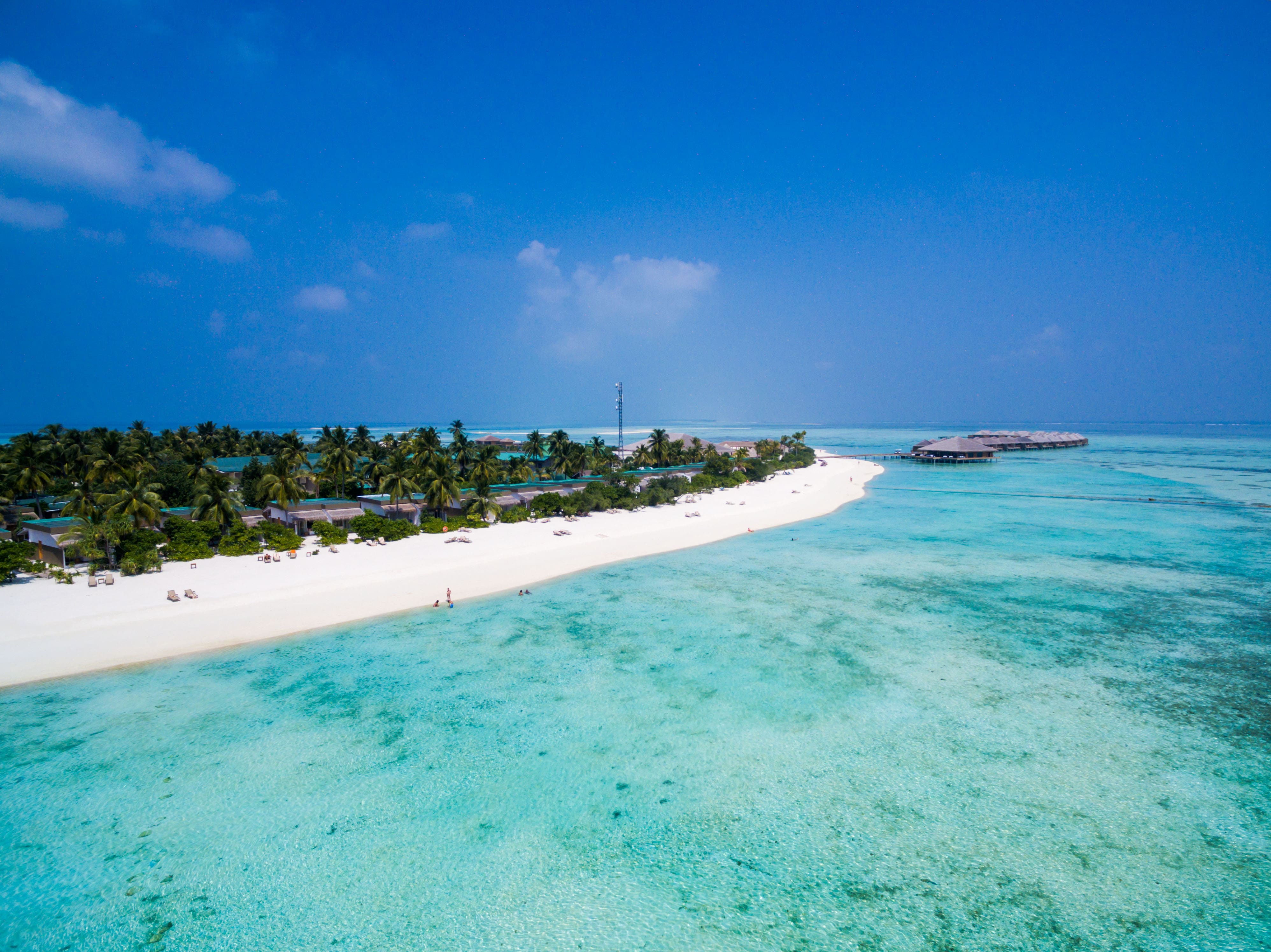 Мальдивы Cocoon Maldives