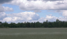 Вдоль дороги в Хатынь