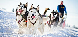 your-bright-winter-on-sakhalin-9s.jpg