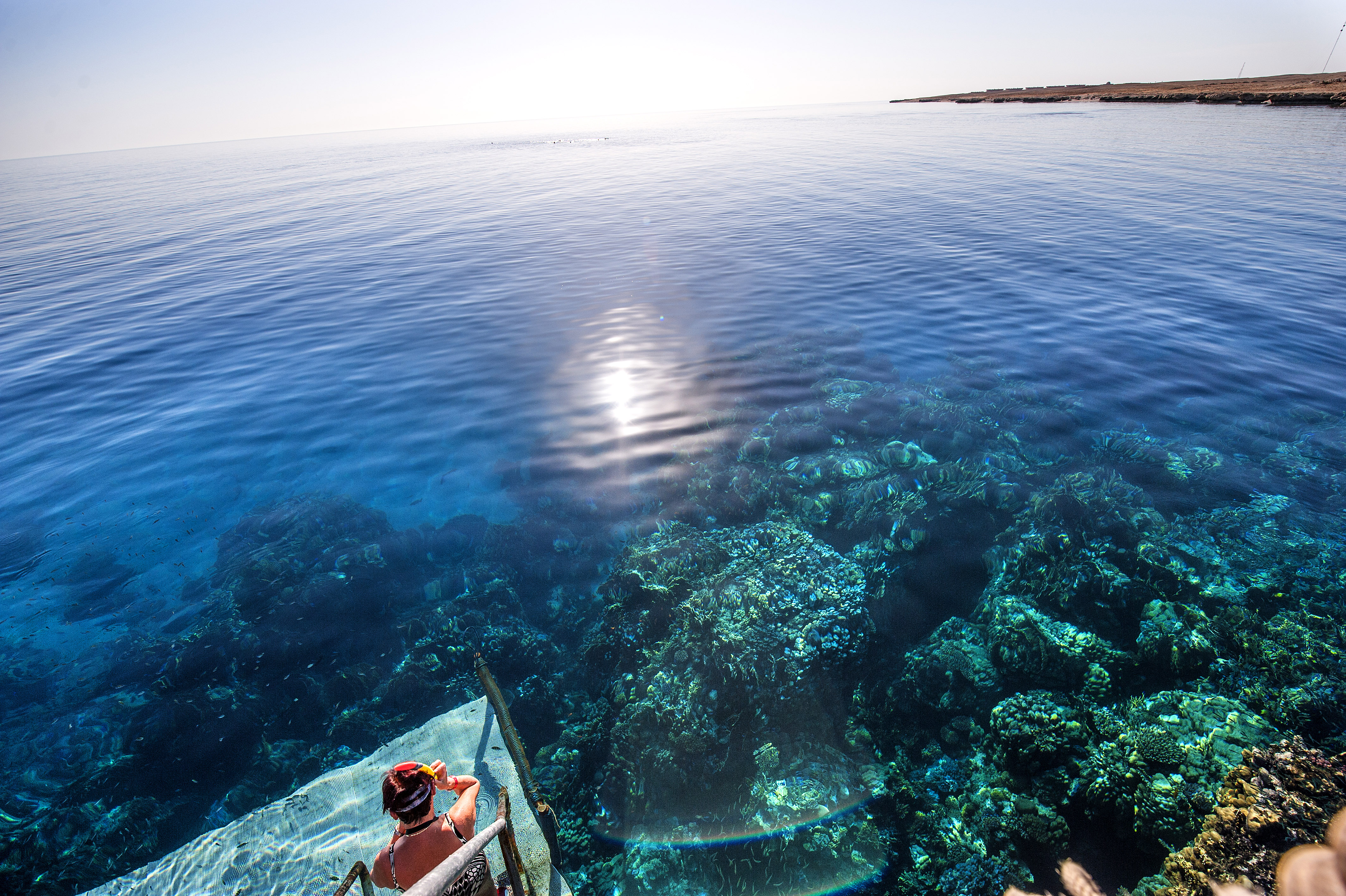 Египет красное море Пинтерест