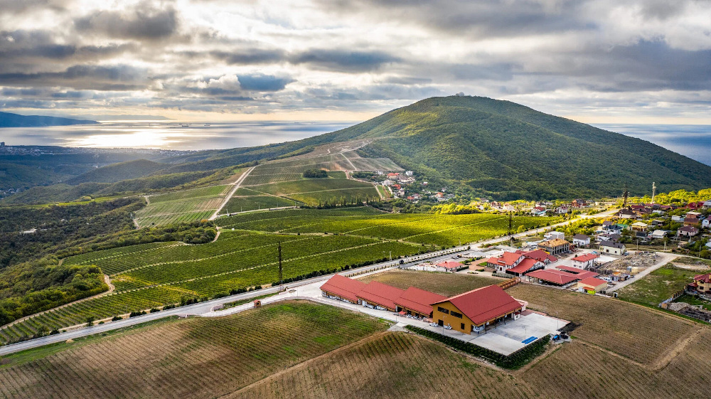 Шато пино винодельня фото