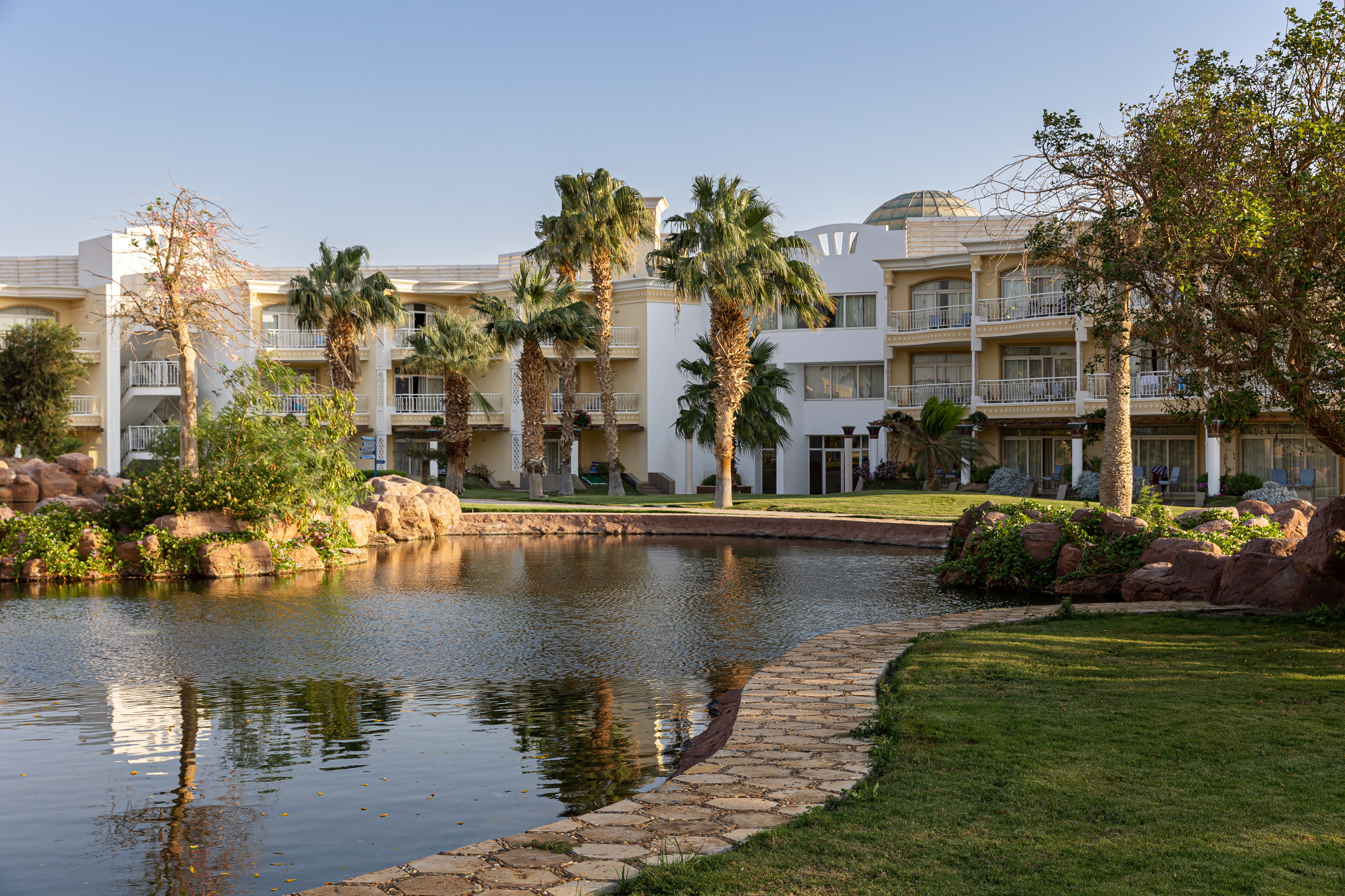 Sentido palm soma bay 5