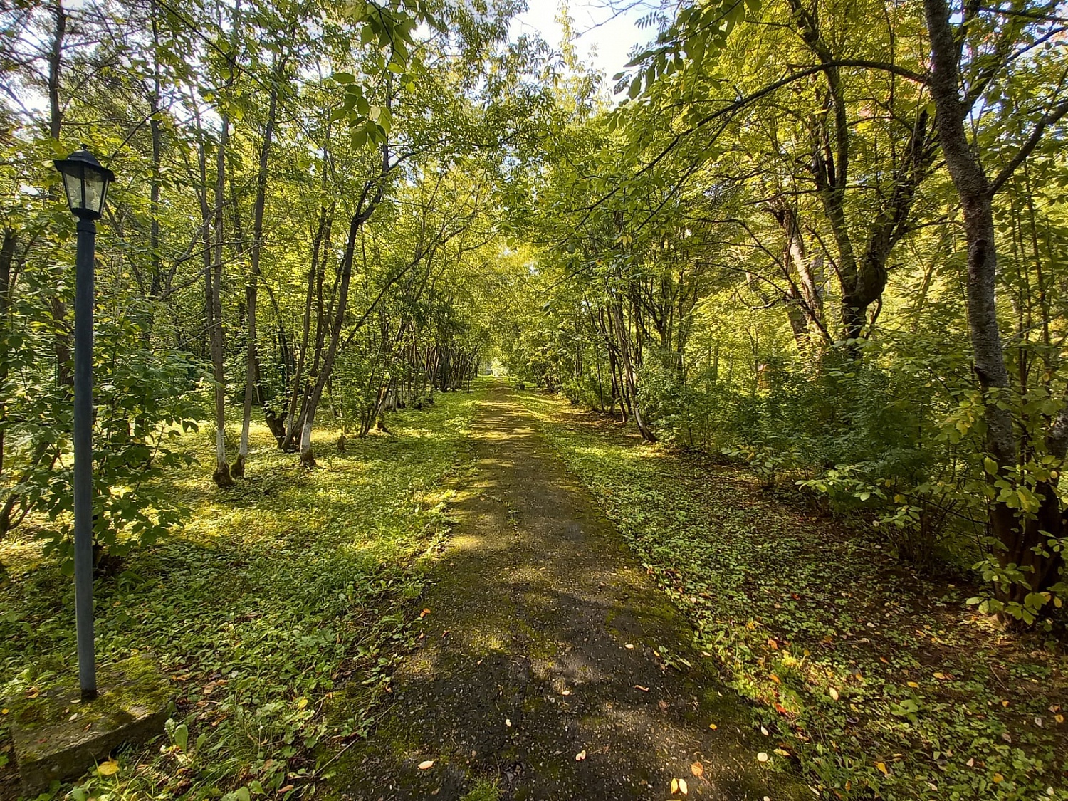 Санаторий красный яр нижегородская область фото