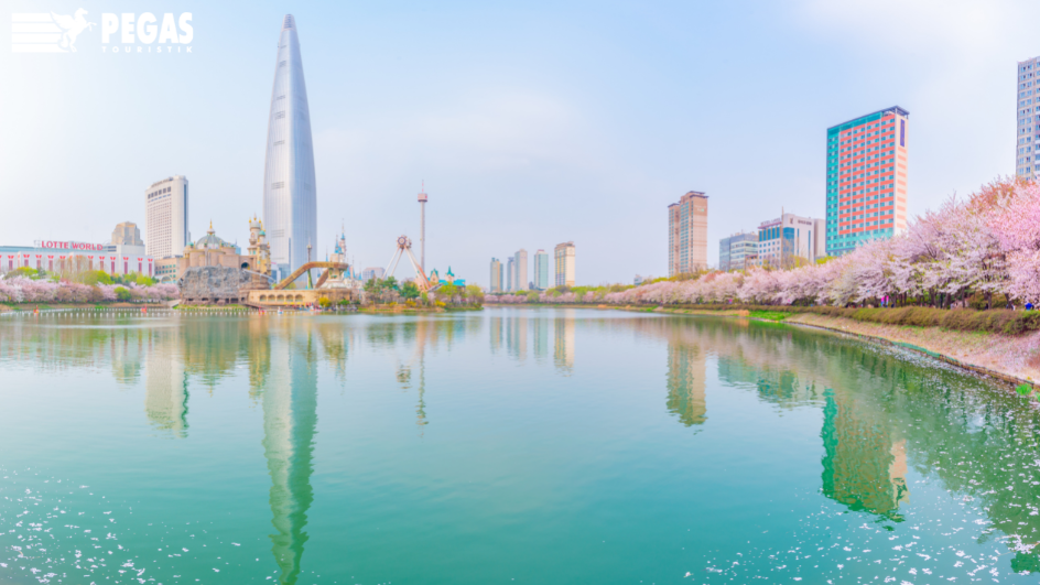 12-le-hoi-doc-dao-o-Seoul-Han-Quoc-dien-ra-suot-nam-thoai-mai-cho-du-khach-lua-chon