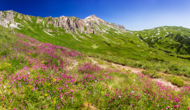 getting-to-know-adygea-1s.jpg