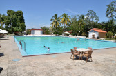 Islazul Pernik