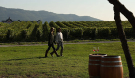 chateau-de-talu-6s.jpg