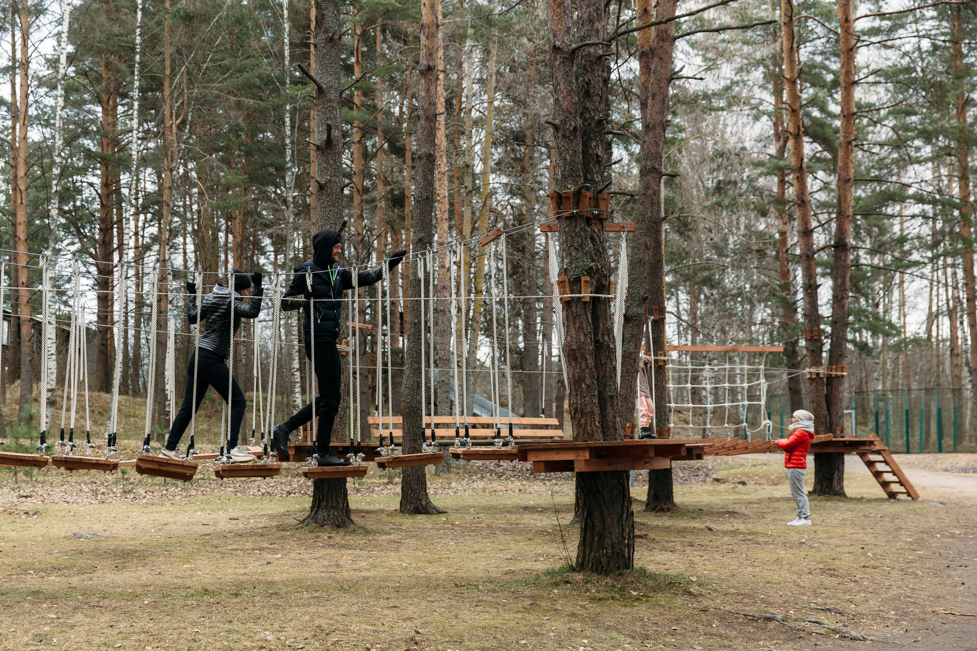 лосево парк