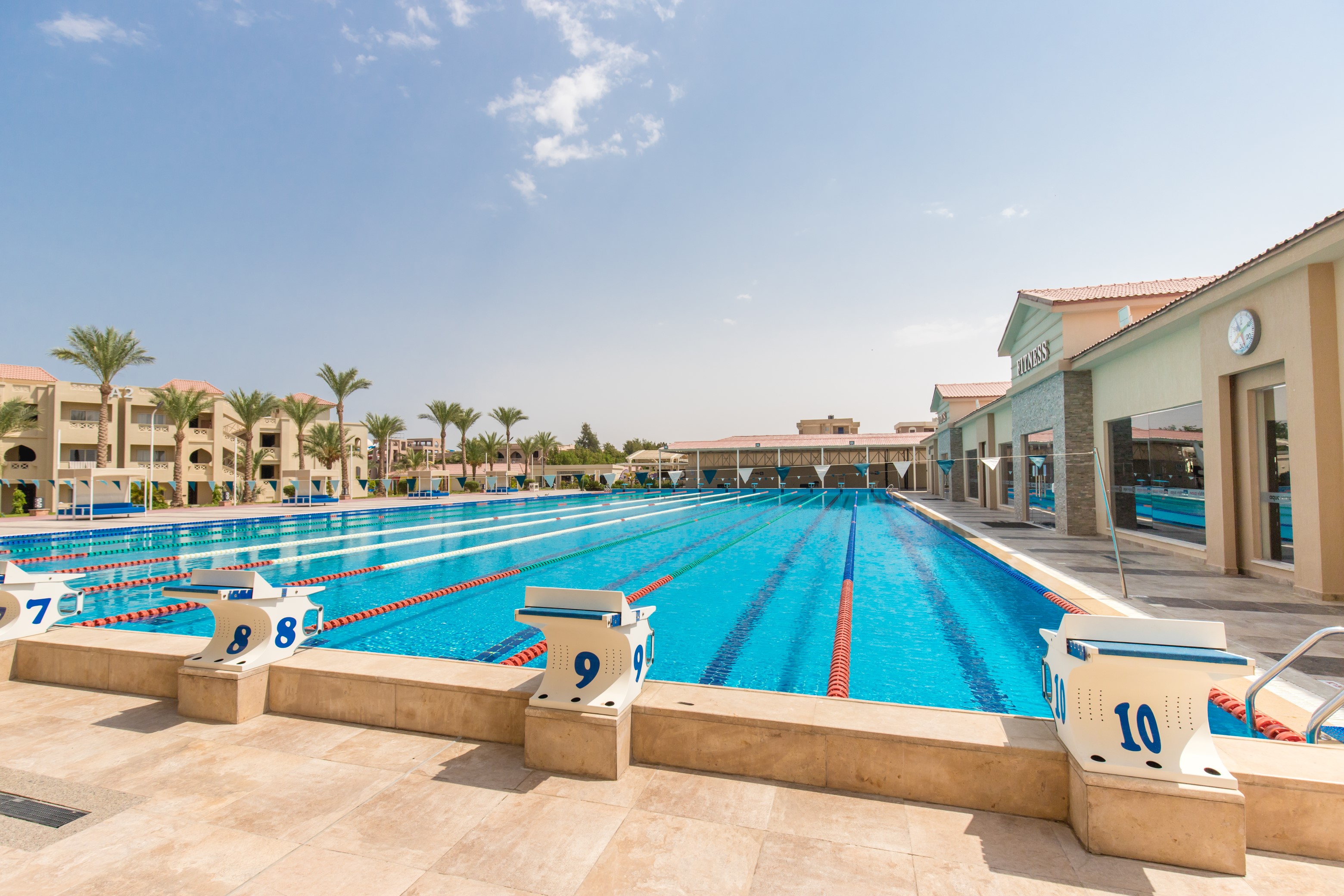 Pickalbatros vista resort hurghada. Аква Виста Хургада. Pickalbatros Aqua Vista Resort. Pickalbatros Aqua Vista Resort 4*. Bella Vista Resort 4* Хургада, 100.