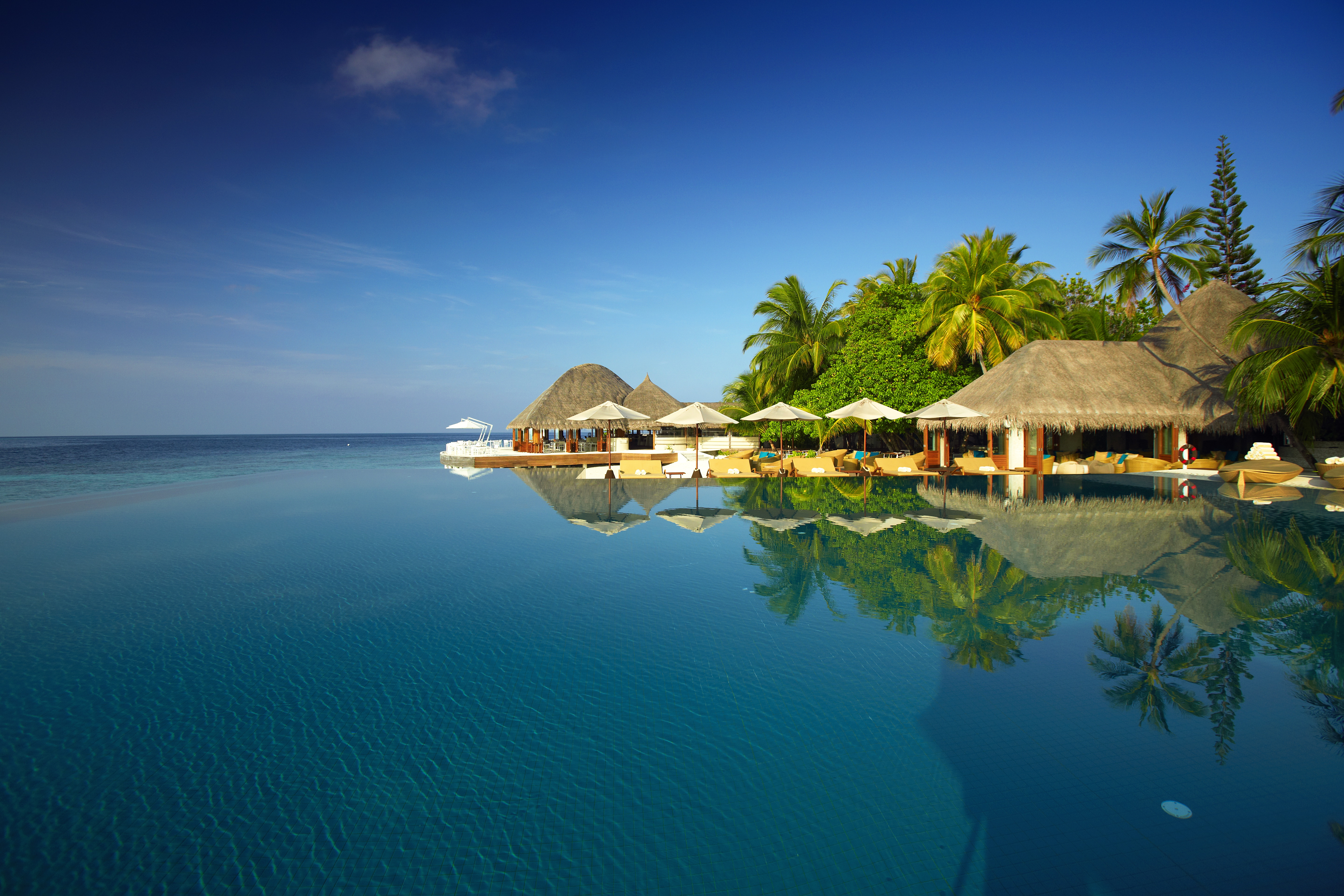 Мальдивы пальмы море отель