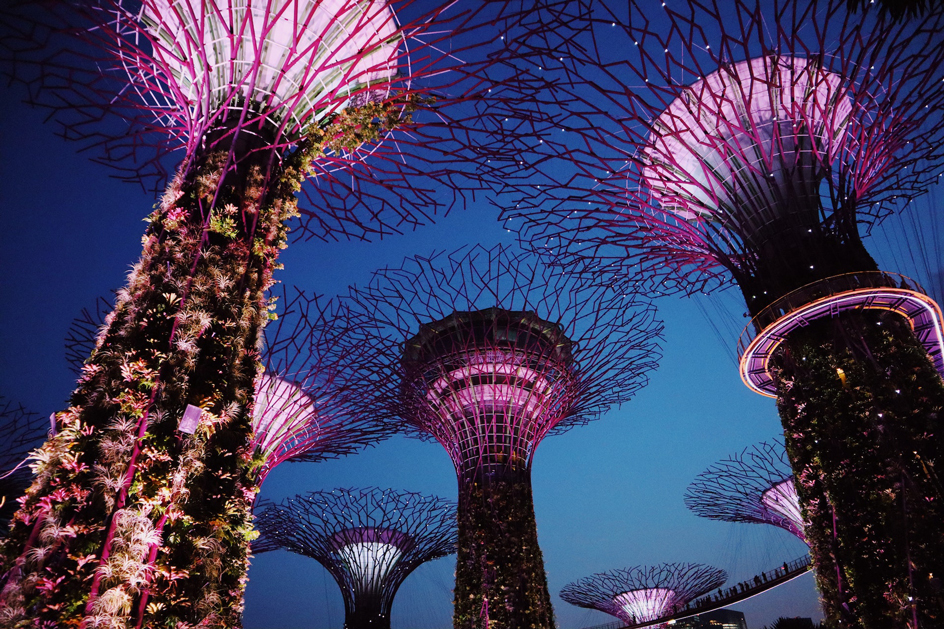 Gardens-By-The-Bay-TOUR-SINGAPORE-MALAYSIA-6-NGAY-5-DEM