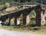 pinedademar4_s.jpg