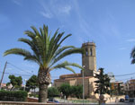 pinedademar5_s.jpg