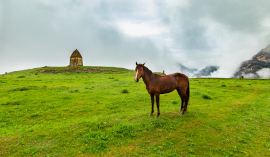 ingushetia-Egikal-s365.jpg