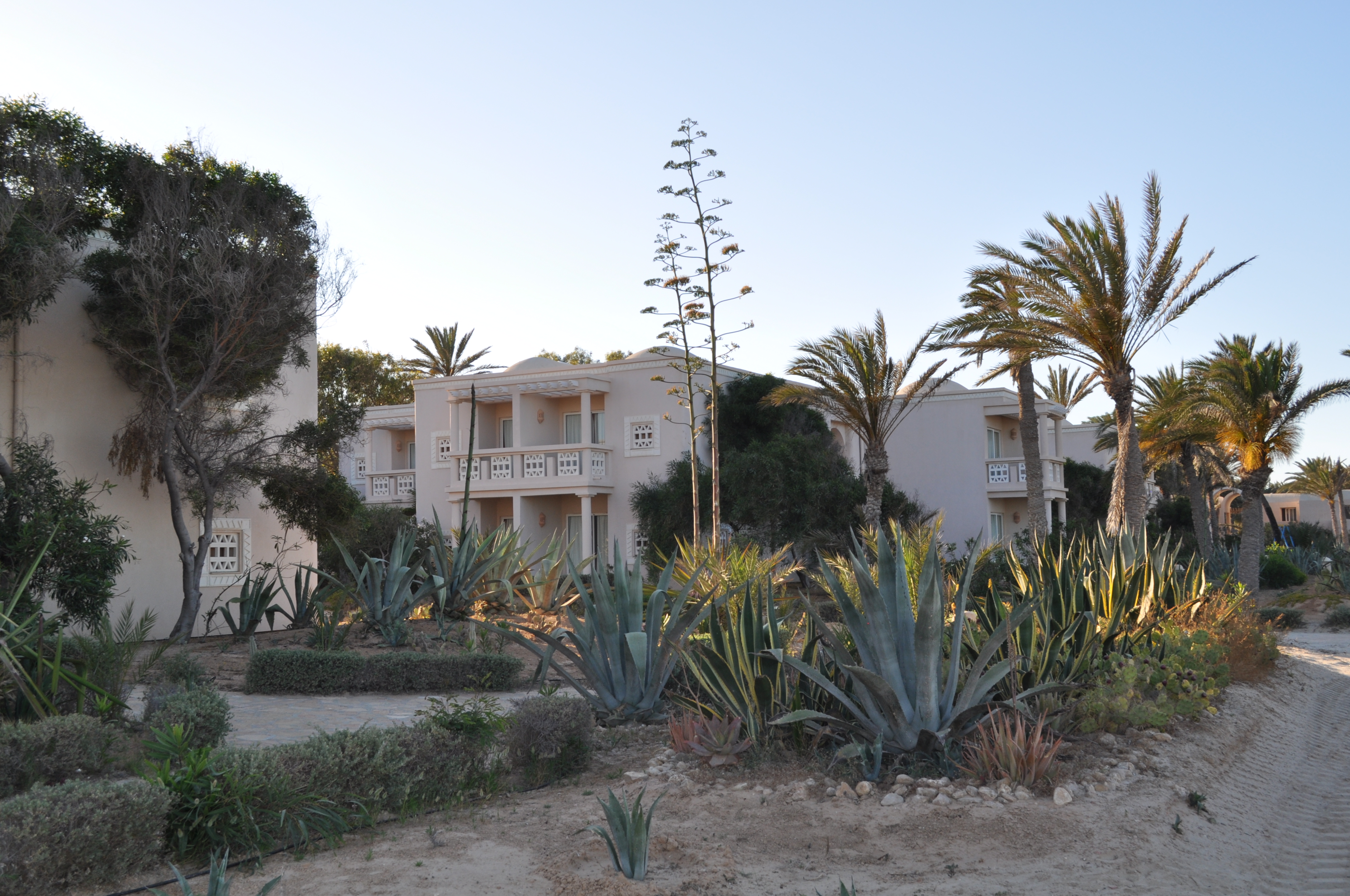 Тунис Djerba Zita Beach Resort