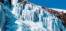 your-bright-winter-on-sakhalin-8s.jpg