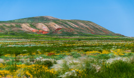 landscape-mountain-big-bogdo-astrakhan-s.jpg