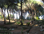 calella4_s.jpg