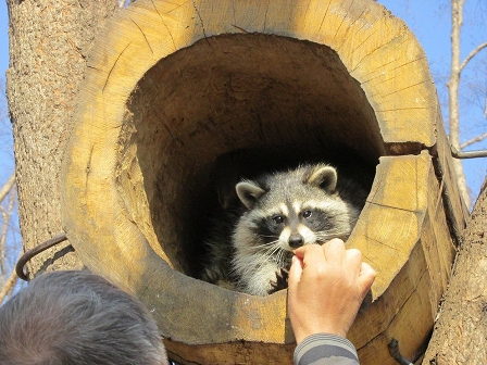 Семенов